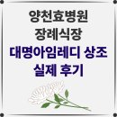 양천효병원장례식장 | [양천효병원 장례식장 후기] 꽃 시장에서 새벽같이 예쁜 꽃을 준비해 주신 대명아임레디 장례지도사님