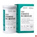 에스엘비