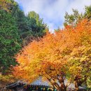 시례호박소 이미지