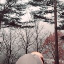 대관령농협주유소 이미지