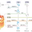 정다운약국 이미지