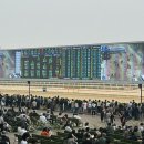 삼박천 | 과천 렛츠런파크 어른이 놀이터 서울 경마장 방문, 베팅 후기 (+위치,베팅방법,후기,꿀팁)