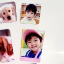 뽀러브디자인