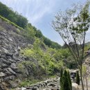 피오르 숲 빌리지 이미지