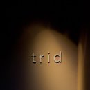 스타식당 이미지