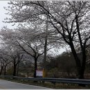 데미샘