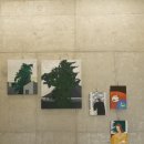 스테이 호자 이미지