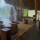 달팽이방갈로 | 우붓 풀빌라 추천 악사리리조트 리버뷰 풀빌라 룸, 수영장 후기