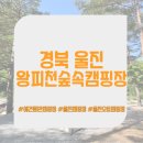왕피천 숲속 캠핑장 | [캠핑] 경북 울진 왕피천숲속캠핑장 애견동반 계곡뷰 차박캠핑 후기