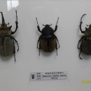 충우농장 이미지