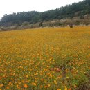 존엔존피시카페 이미지