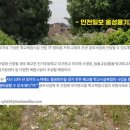 진가초모가분교장 네이버블로그