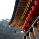 오사재 | 의왕 사찰 여행지 갈만한곳 | 청계산 청계사 | 경기도 절 가볼만한곳