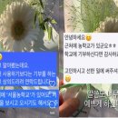그꽃그카페 이미지