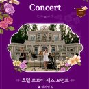 [용인/에버랜드] 화요일 눈치게임 대성공 후기! 티익스프레스 4번 탄 대기시간, 사파리 & 로스트밸리...