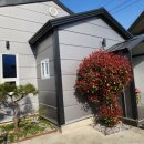 포레스트약국 이미지