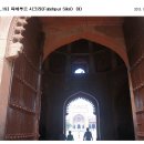 파테 이미지