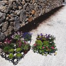 함덕애(愛) 펜션 이미지