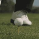 임팩트골프클럽 이미지