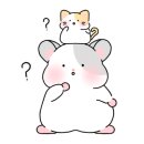 황우식육식당 이미지