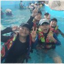 인성태권스쿨 이미지