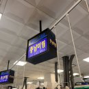 노량진 수산시장 형제상회 말고 충남미림에서 방어회 먹어본 후기