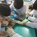 통영고등학교 이미지