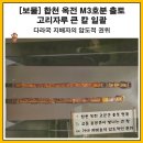 합천 옥전 M3호분 출토 고리자루 큰 칼 일괄 | [김해 가볼만한 곳] 금빛 용과 봉황이 뿜어내는 가야의 위엄, 김해박물관 보물 '용봉문 큰 칼' *보물2042*