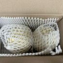 도시농장 | 맛있는 도시농장 꿀통 멜론 선물 솔직후기