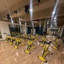 비비 파라다이스짐 이미지