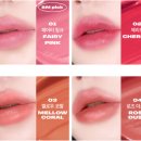 다이소 틴트 / 코시에로 아이콘 워터 벨벳 플럼퍼 02 체리쉬 짱 추천 후기