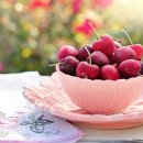 체리의향기 이미지