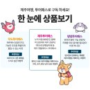 제주지투어