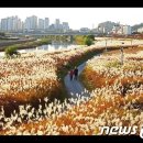 19일부터 가을관광주간…어디로 여행가면 좋을까 이미지