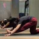 세븐테라피 | 역삼 헬스 맛집 7세븐스튜디오 역삼 요가수업 후기(송은서 선생님)