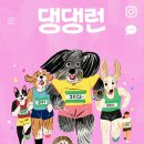댕댕런 욕도 아까운 내돈내산 비추 후기. 그돈으로 그냥 좋은 간식 여러개 사주세요.