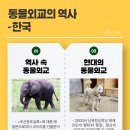 냥냥이세상 네이버블로그