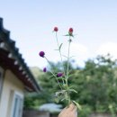 변산농장 이미지