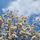 독도노래연습장 이미지