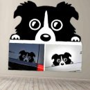 프리티도그 이미지