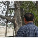 영지농장 이미지