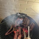 인동고등학교 | [구미/인동] 감성 끝판왕 펜션, '더그로브 (The Grove)' 시크릿 그로브룸 숙박 솔직 후기