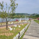 공원 빈대떡 이미지