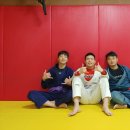 격투창고 MMA 이미지