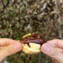 CU 양산그린자이점 | 편의점 신상 삼립 두바이스타일 바삭 파이 후기