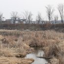 유천생태습지공원 화장실 이미지