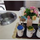 하나콘도 이미지