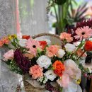 도봉-창동-도봉-5155 이미지