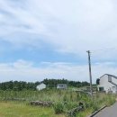 한라산공인중개사사무소 이미지