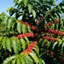 (주)한팩코리아 이미지